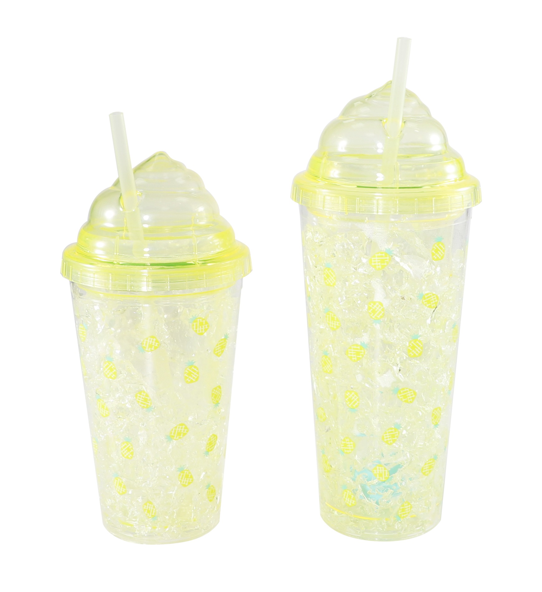 FSCH-002A  FSCH-002B