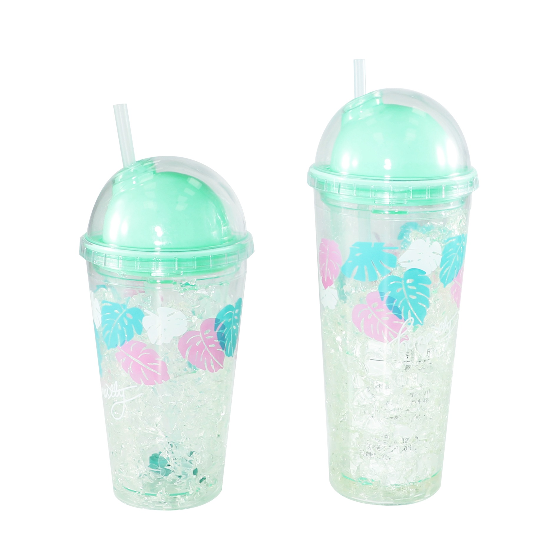 FSCH-004A  FSCH-004B