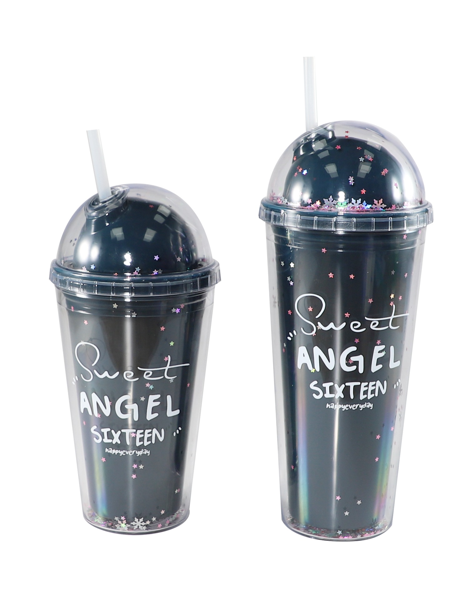 FSCH-005A  FSCH-005B