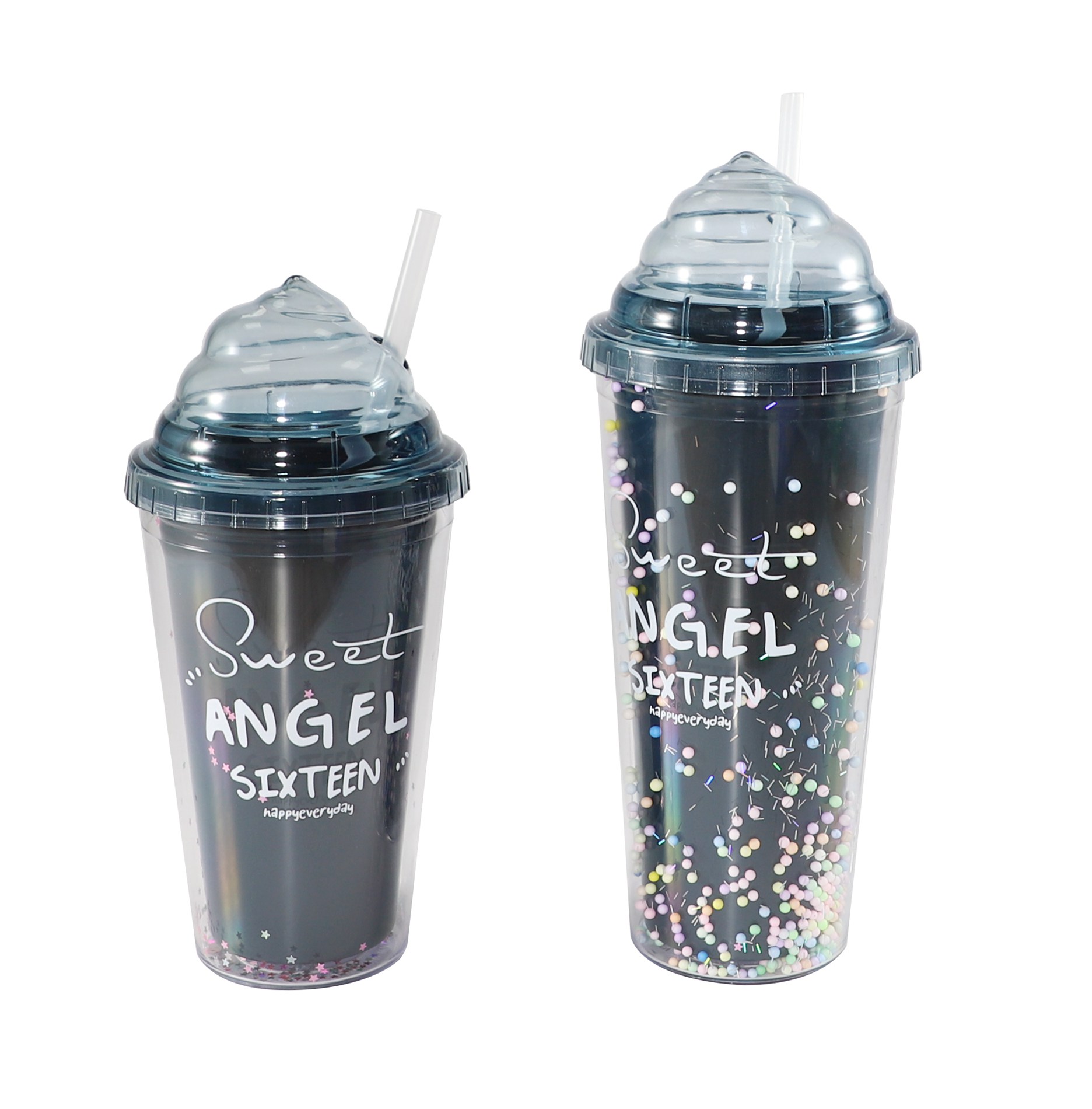 FSCH-006A  FSCH-006B