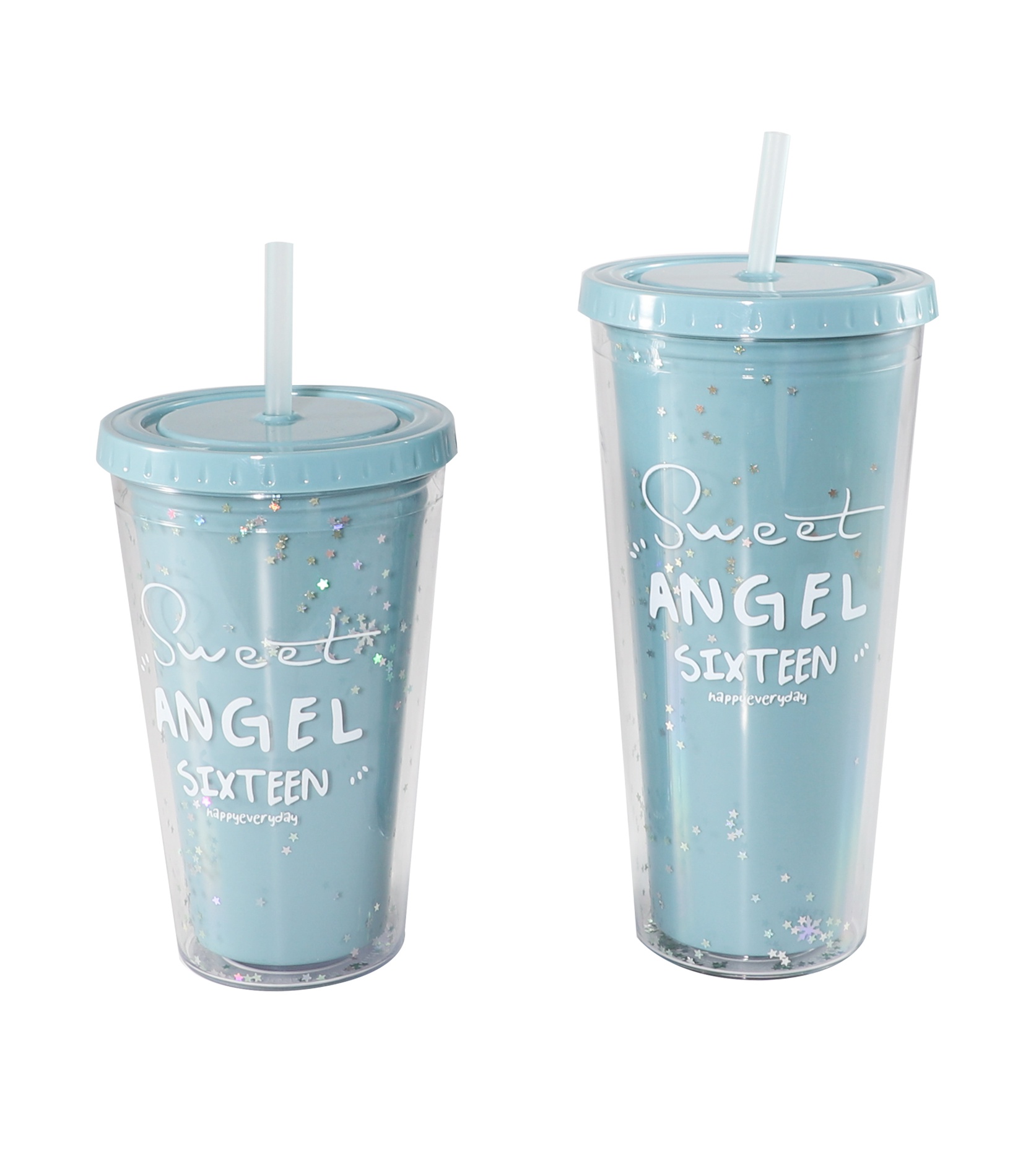 FSCH-010A   FSCH-010B