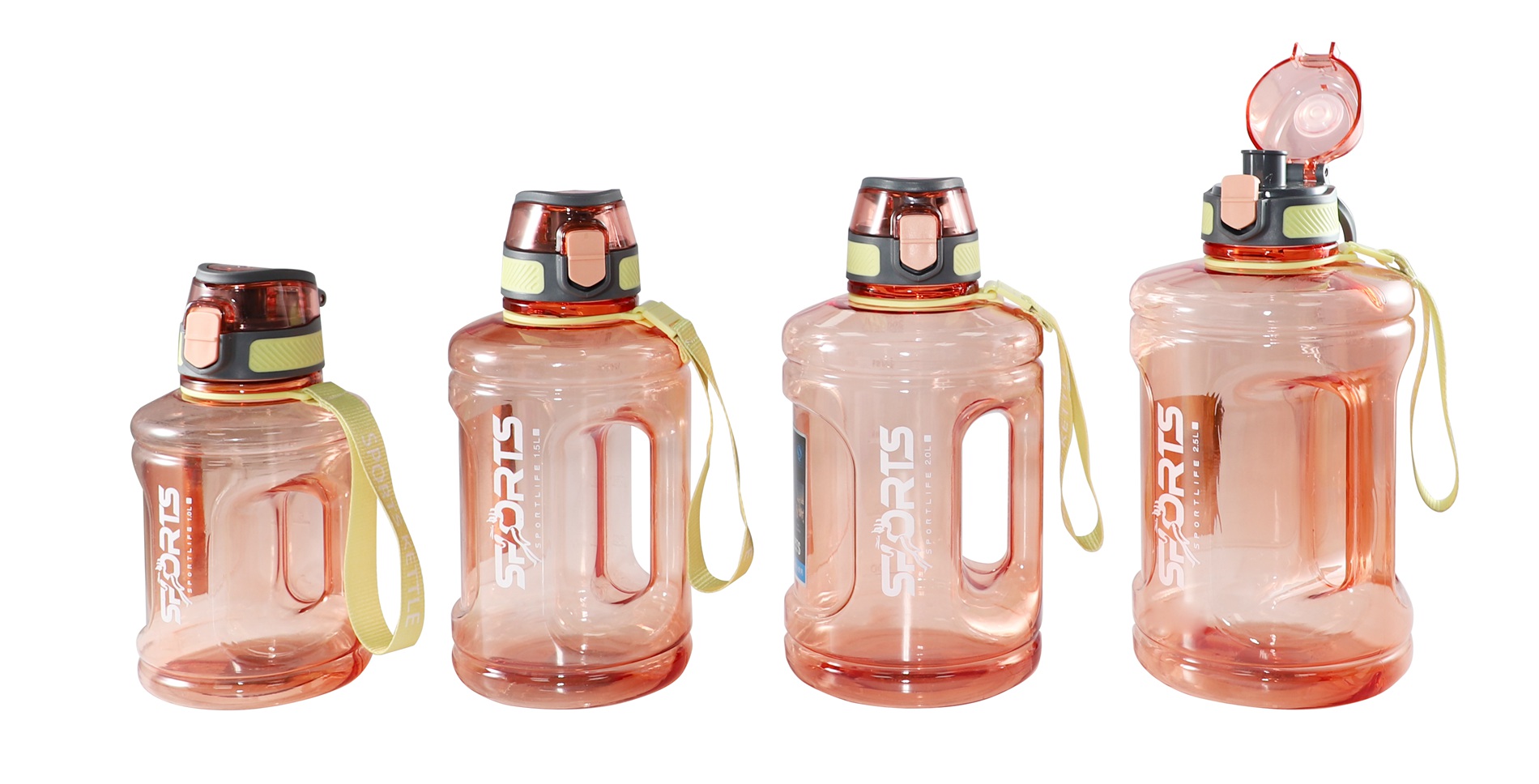 FSLG-005A FSLG-005B FSLG-005C FSLG-005D